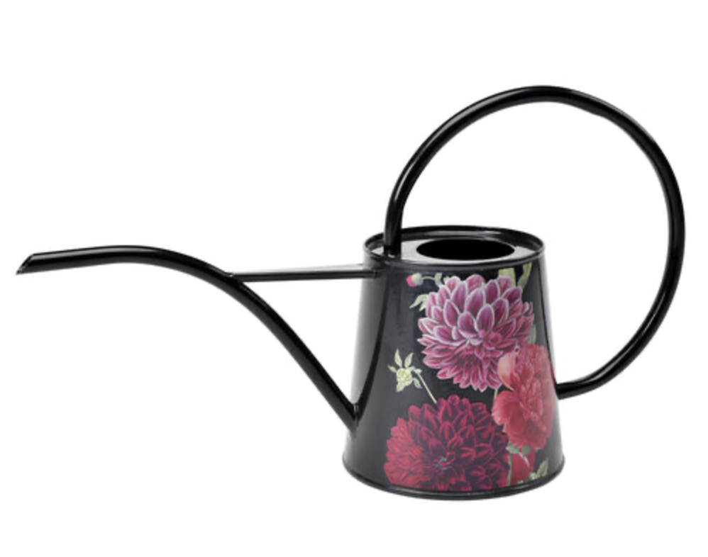 British Bloom - Indoor Watering Can